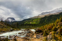 Yoho NP 2015 Yoho NP 2015